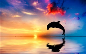 돌고래 점프, 실루엣, 바다, 물 반사, 일몰 HD 배경 화면