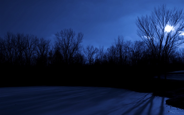부활절 호수, 나무, 밤, 달, 디모 인, 아이오와, 미국 배경 화면 그림