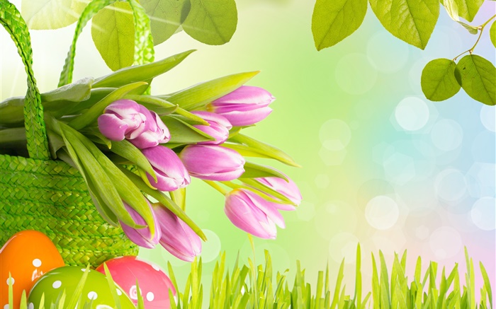 꽃, 보라색 튤립, 잔디, 봄, 계란, 부활절 배경 화면 그림