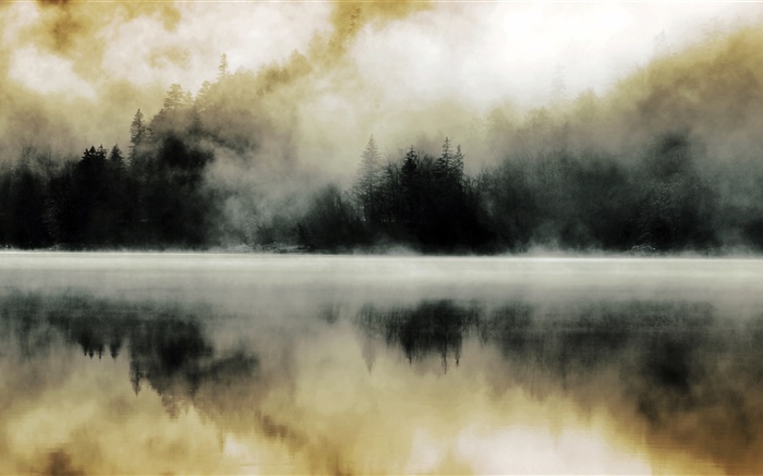 숲, 호수, 안개, 새벽, 물 반사 배경 화면 그림