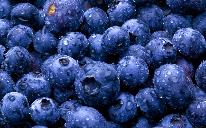 과일 근접, 블루 베리 배경 화면 그림