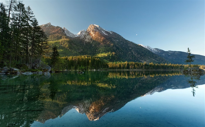 호수, 나무, 산, 물 반사 배경 화면 그림