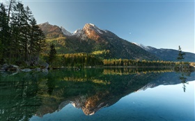 호수, 나무, 산, 물 반사 HD 배경 화면