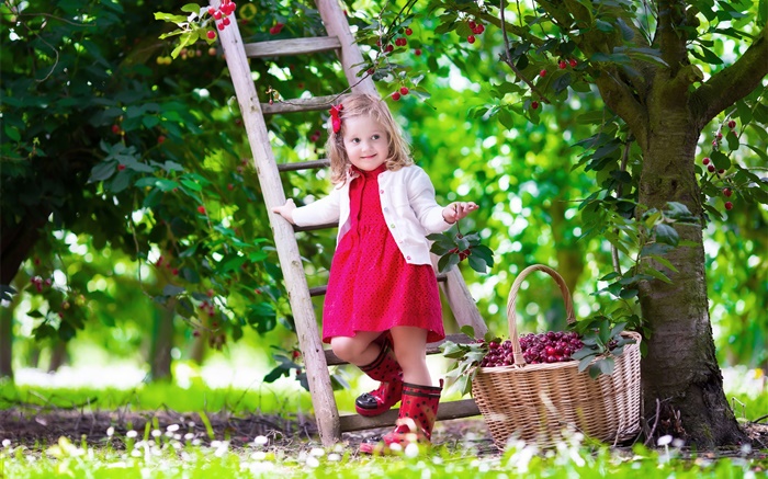 어린 소녀 체리 따기, 아이, 나무, 정원 배경 화면 그림
