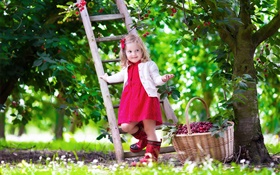 어린 소녀 체리 따기, 아이, 나무, 정원 HD 배경 화면