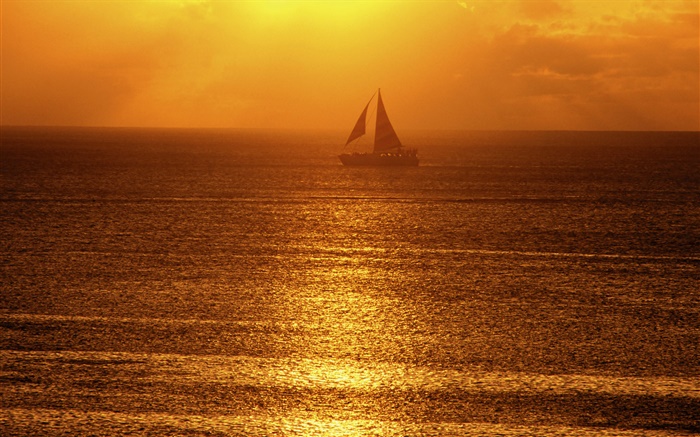 아침, 안개, 바다, 보트, 태양 광선 배경 화면 그림