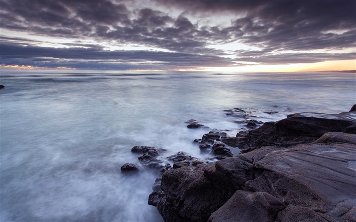 무리와, 오클랜드 지역, 해안, 일몰, 뉴질랜드 배경 화면 그림