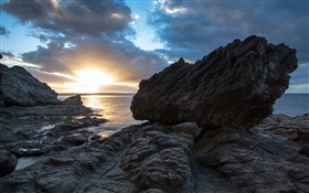 바위, 바다, 일몰, 코로만 델, 뉴질랜드 HD 배경 화면