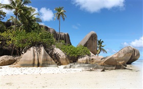 세이셸 섬, 해변, 돌, 야자수 HD 배경 화면