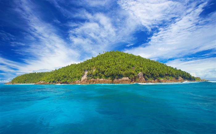 세이셸 섬, 작은 섬, 나무, 바다 배경 화면 그림