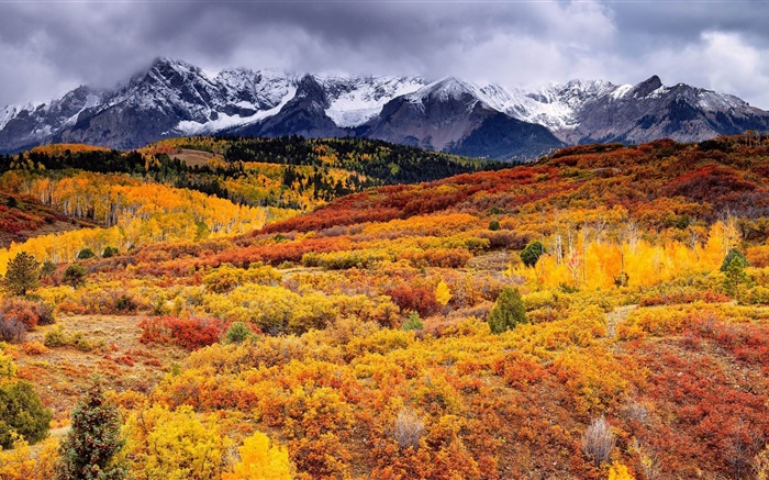 슬로프, 산, 나무, 가을, 구름 배경 화면 그림