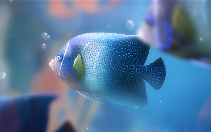 블루 수족관 물고기 확대 배경 화면 그림