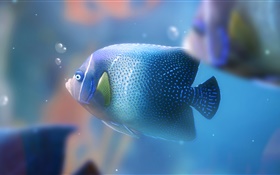 블루 수족관 물고기 확대 HD 배경 화면