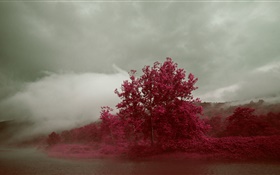 호수, 안개, 나무, 단풍, 가을 HD 배경 화면