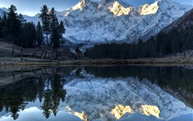산, 호수, 나무, 물 반사, 눈 HD 배경 화면