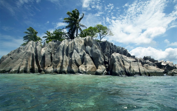 바다, 돌, 나무, 구름, 세이셸 섬 배경 화면 그림
