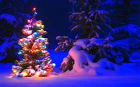 눈, 조명, 나무, 겨울, 밤, 크리스마스