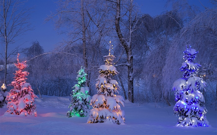 눈, 조명, 나무, 겨울, 캐나다 배경 화면 그림