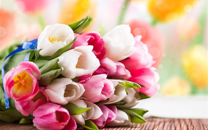 봄, 튤립, 꽃, 화이트, 핑크 배경 화면 그림