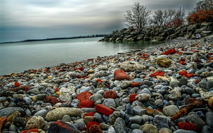 돌, 호수, 나무, 황혼 배경 화면 그림