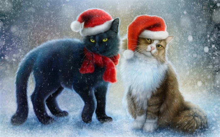 두 고양이, 눈, 스카프, 크리스마스 모자 배경 화면 그림
