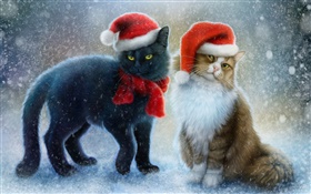두 고양이, 눈, 스카프, 크리스마스 모자
