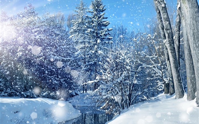 겨울, 숲, 나무, 강, 두꺼운 눈 배경 화면 그림