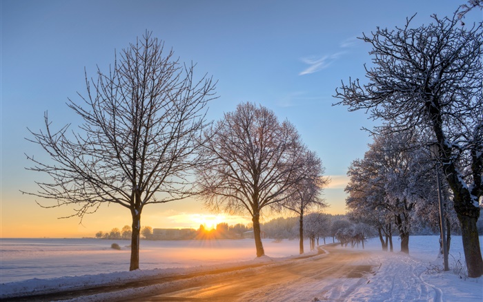 독일, 겨울, 눈, 나무, 도로, 집, 일몰 배경 화면 그림