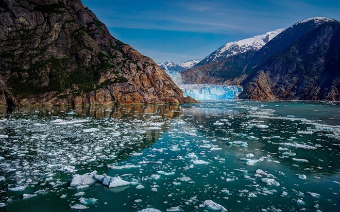글레이 셔 베이 국립 공원, 알래스카, 미국, 산, 빙하, 얼음, 호수 배경 화면 그림