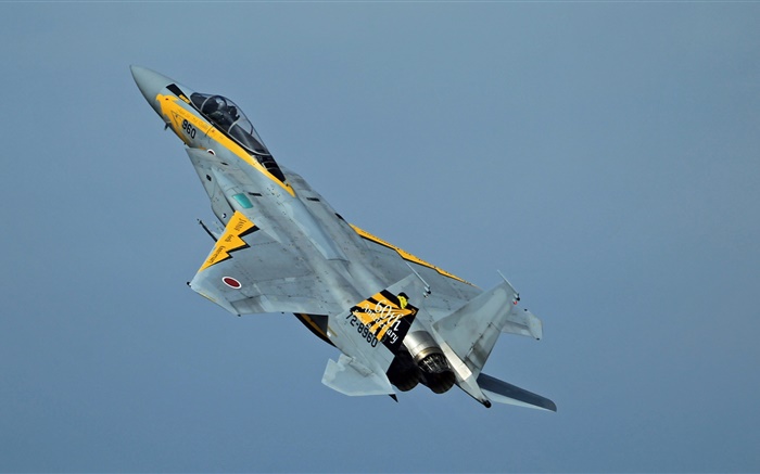 하늘에 맥도넬 더글러스 F-15 이글 전투기 배경 화면 그림
