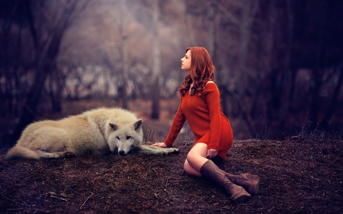 멜리, 소녀와 늑대, 빨간 스웨터 배경 화면 그림