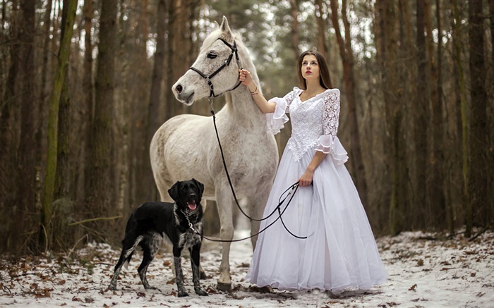 레트로 스타일의 흰색 드레스 소녀, 말, 개, 숲 배경 화면 그림