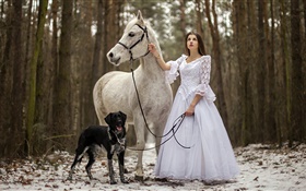 레트로 스타일의 흰색 드레스 소녀, 말, 개, 숲 HD 배경 화면