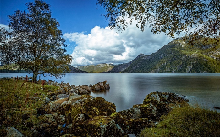 갈란, 노르웨이, 호수, 산, 나무, 바위, 구름 배경 화면 그림