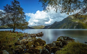 갈란, 노르웨이, 호수, 산, 나무, 바위, 구름 HD 배경 화면