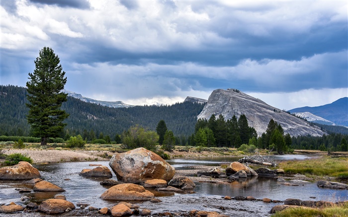미국, 캘리포니아, 요세미티 국립 공원, 숲, 산, 구름, 바위 배경 화면 그림