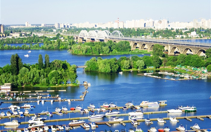 우크라이나, 도시, 강, 다리, 부두, 보트, 나무 배경 화면 그림
