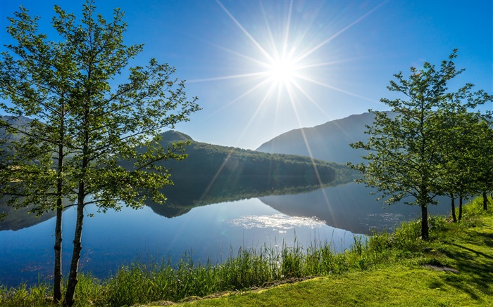 Vigesaa, 갈란, 노르웨이, 호수, 나무, 햇빛 배경 화면 그림