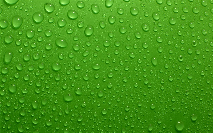 물 방울, 녹색 배경 배경 화면 그림