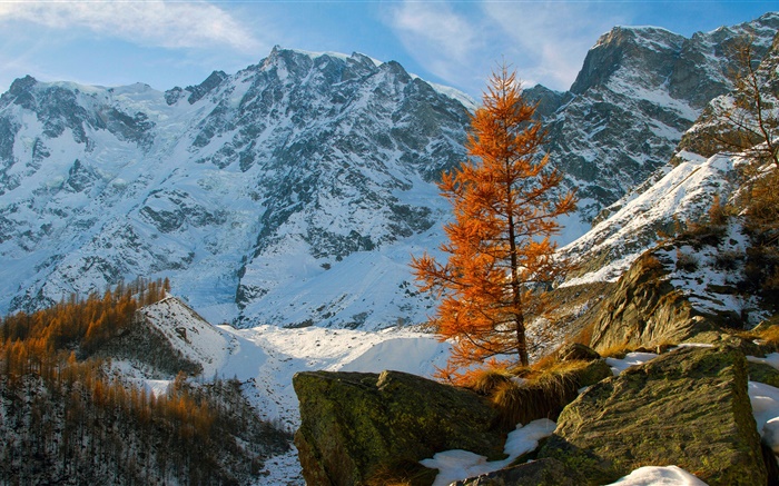 겨울, 산, 눈, 나무, 돌 배경 화면 그림