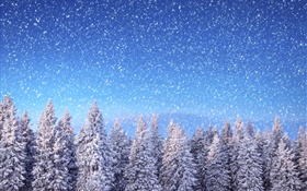 겨울, 가문비 나무, 푸른 하늘, 눈송이, 눈