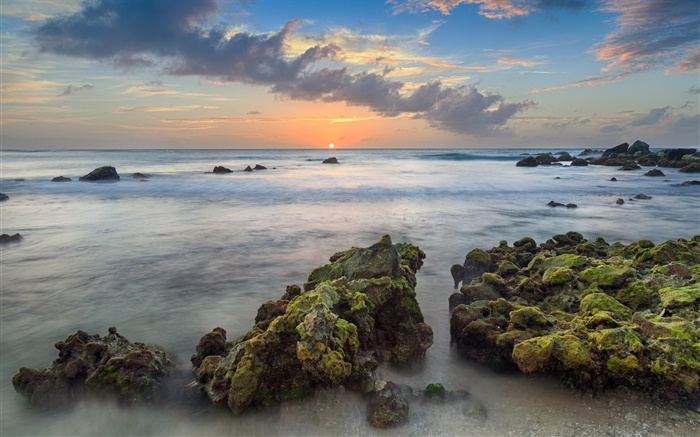 아루바, 카리브해, 아라시 베이, 돌, 바다, 해안, 일몰, 구름 배경 화면 그림
