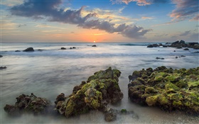 아루바, 카리브해, 아라시 베이, 돌, 바다, 해안, 일몰, 구름 HD 배경 화면
