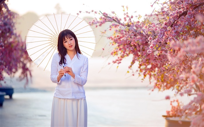아시아 여자, 우산, 핑크 꽃, 아름다운 사진 배경 화면 그림