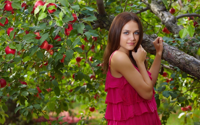 파란 눈의 소녀, 빨간 드레스, 사과 나무, 빨간 사과 배경 화면 그림