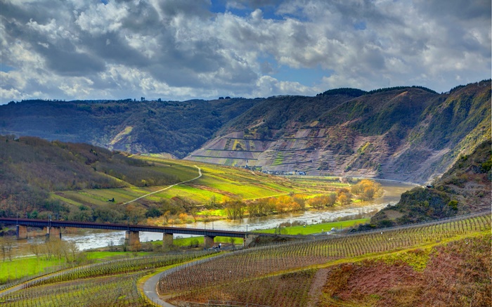 Ediger - 엘러, 독일, 산, 강, 다리, 포도원 배경 화면 그림