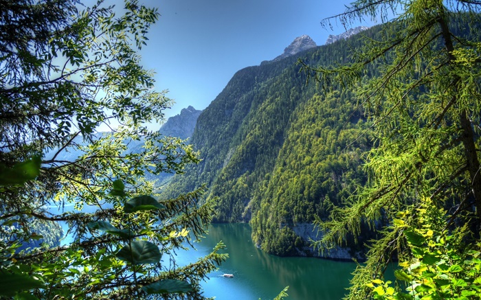 독일, 바바리아, 산, 숲, 나무, 강 배경 화면 그림