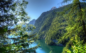 독일, 바바리아, 산, 숲, 나무, 강 HD 배경 화면