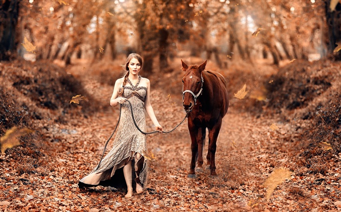 소녀와 말, 가을, 노란색 단풍 배경 화면 그림