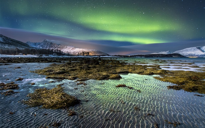 노르웨이, 오로라, 밤, 별, 바다, 해안, 겨울, 눈 배경 화면 그림